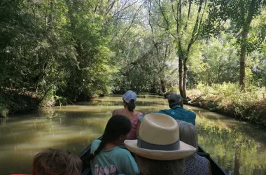 promenade guidée en barque au coeur du marais sauvage du Marais poitevin