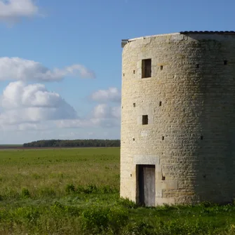 Usseau : berceau de la grand-mère de l’Europe