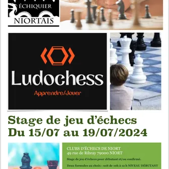 Stage de jeu d’échecs à Niort