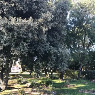 Visite du 1er cimetière naturel à Niort