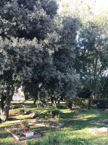 Visite du 1er cimetière naturel à Niort