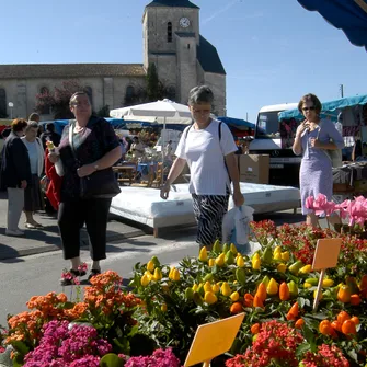 Mauzé-sur-le-Mignon : la patrie de l’explorateur René Caillié