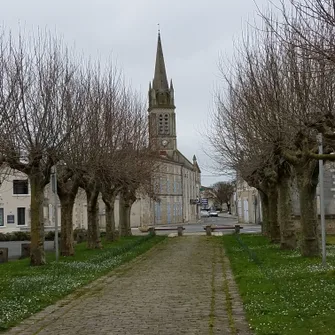 Les Balades du Marais – Balades à vélo accompagnées