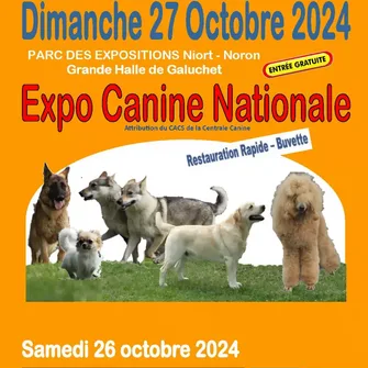 Exposition canine nationale à Niort