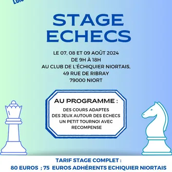 Stage d’échecs avec Loic Fournier à Niort