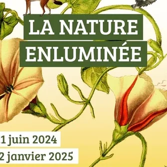 Exposition – La Nature enluminée, voyage dans le monde fantastique de l’illustration naturaliste au Musée Bernard d’Agesci