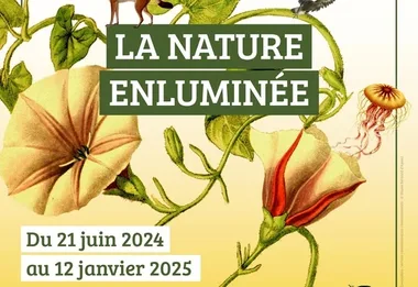 Exposition – La Nature enluminée, voyage dans le monde fantastique de l’illustration naturaliste au Musée Bernard d’Agesci