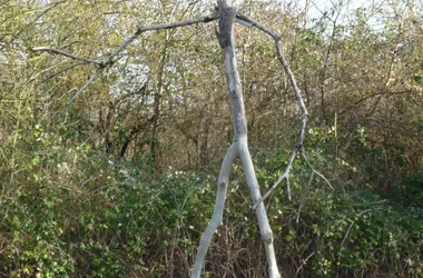 Marais de Saint-Georges-de-Rex et d’Amuré