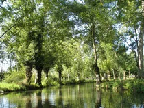 Le Marais poitevin3