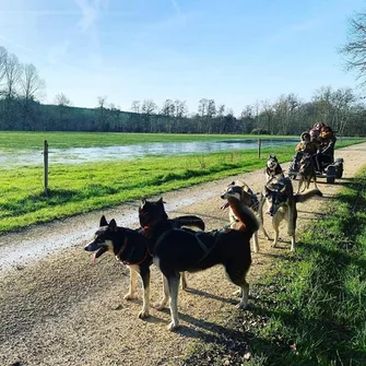 Attelage de Gué “Mushing”