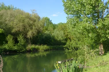 Ma petite maison au bord de l’eau