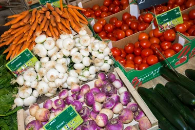 MARCHE DE SAINT-JULIEN DE CONCELLES