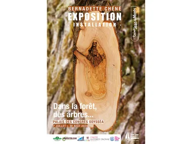 Summer exhibition – In the forest, the trees