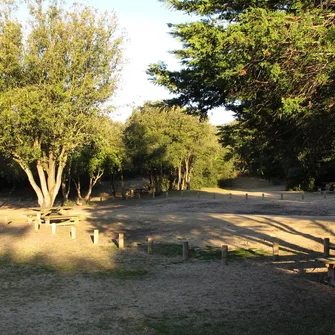 Le Mûrier picnic area