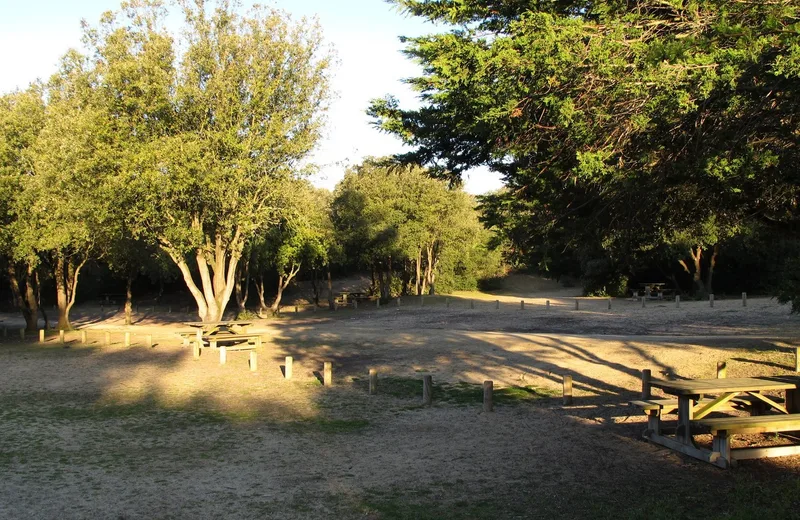 Le Mûrier picnic area