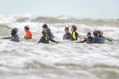 Marche aquatique en soirée