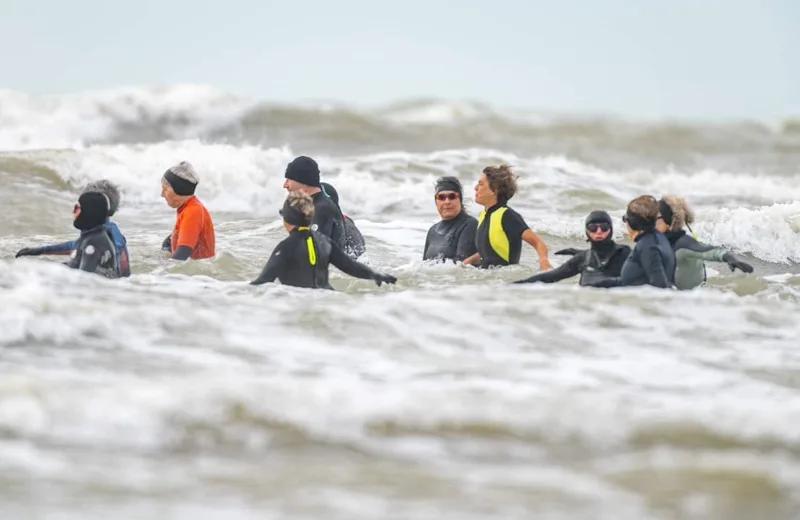 Marche aquatique en soirée