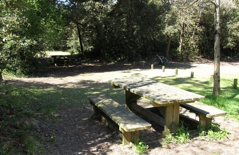 Le Grand Bois picnic area