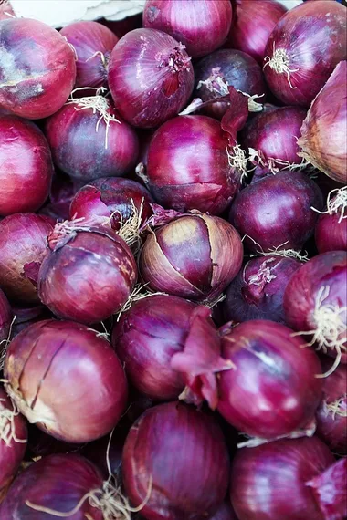 MARCHÉ DE COMMEQUIERS