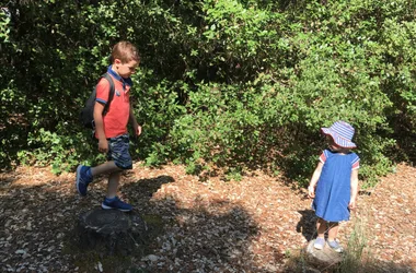 Sentier 1, 2, 3, allons dans les bois