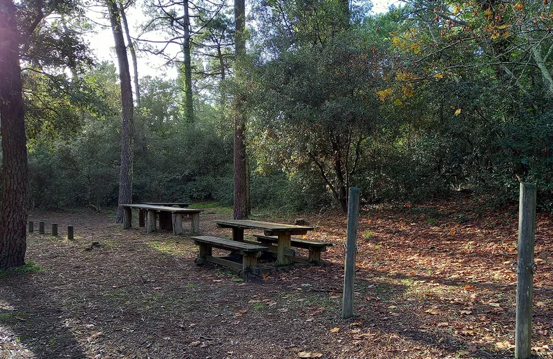 Fief Haut picnic area