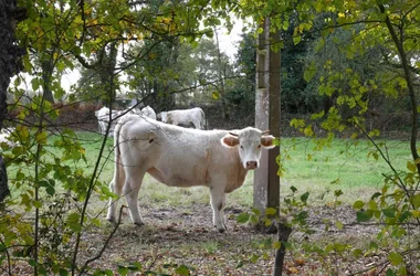 Sentier de la Mongie