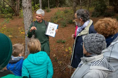 Balade en forêt avec le forestier de l’ONF