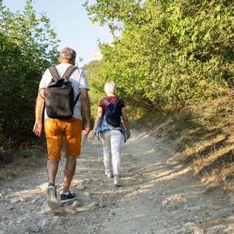 Randonnée en forêt