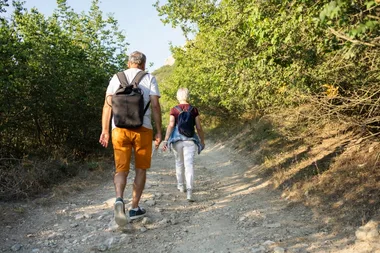 Randonnée en forêt