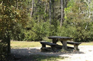 Les Pins picnic area