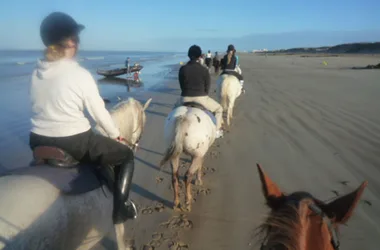 La Chevauchée des Dunes – horse riding centre