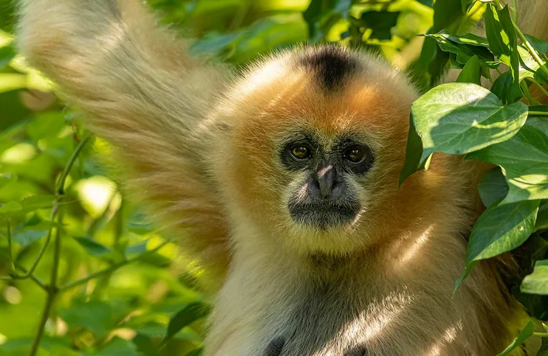 Zoo des Sables