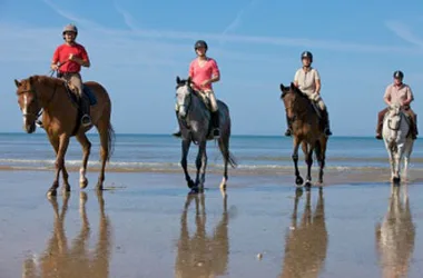 Le Havre de Vie – horse riding centre