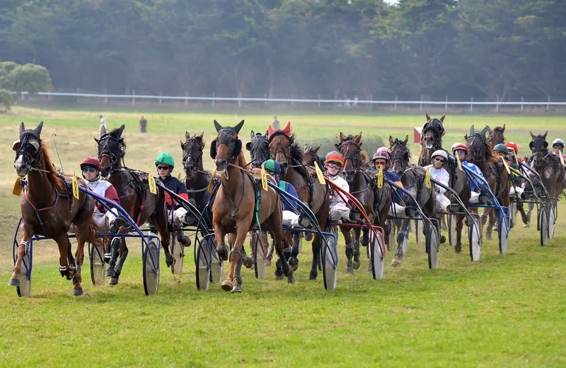 Association des Courses de Chevaux de Saint Jean de Monts