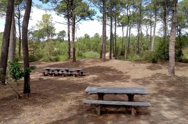 Sentier de la forêt