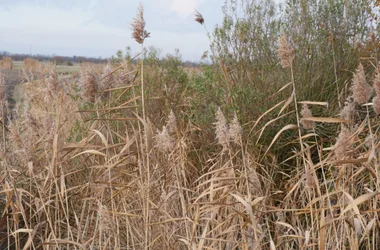 Sentier des Mattes