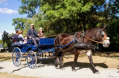 Haras de la Vendée