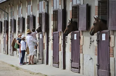 HARAS DE LA VENDÉE