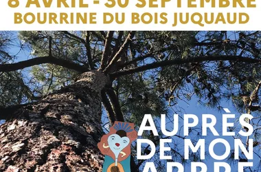 LA BOURRINE DU BOIS JUQUAUD