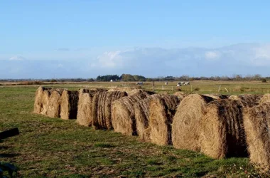 Sentier de la Mongie