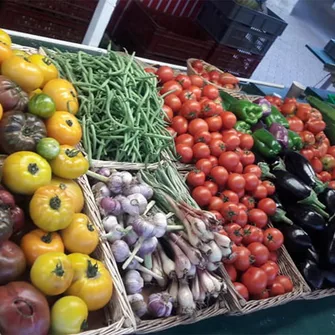 EARL PINEAU MARAÎCHAGE – Vegetable producers