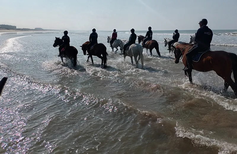 Le Havre de Vie – horse riding centre