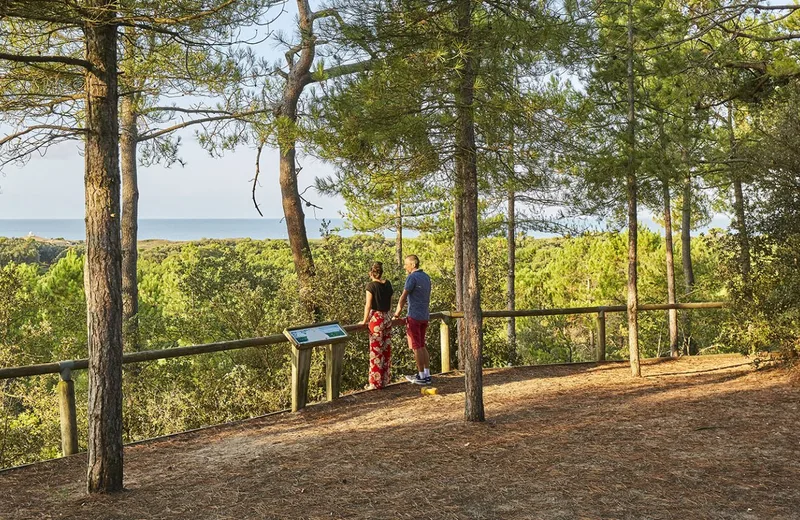 Sentier de la Vigie