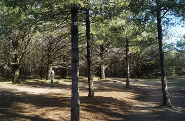 Sentier 1, 2, 3, allons dans les bois