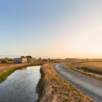 Balade guidée découverte du Marais Breton