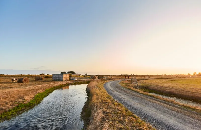 Balade guidée découverte du Marais Breton