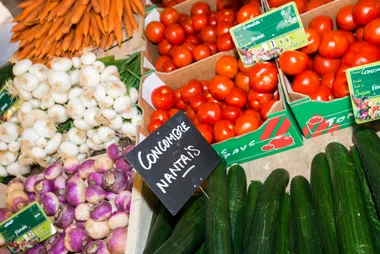 MARCHE DE VIEILLEVIGNE