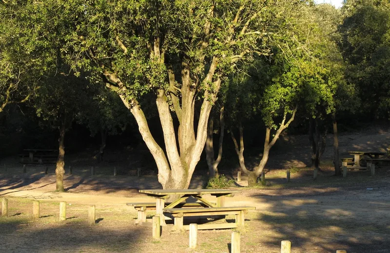 La Davière picnic area