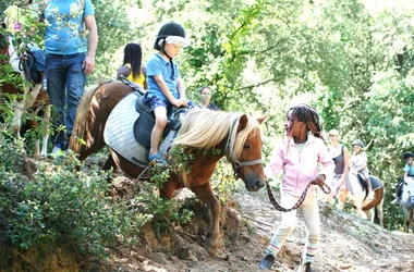 Nelly’s Ranch – horse riding centre