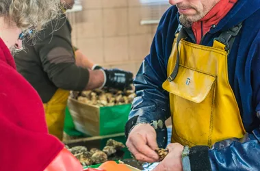 L’HUÎTRIÈRE DE FROMENTINE – LECOSSOIS DAVID